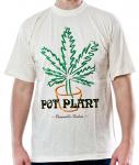 Pot Plant Cannabis Indica