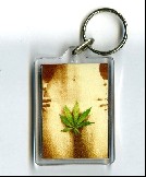 Cannabis Sex Key-Ring