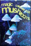 Magic Mushrooms Calendar 2006