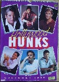 Hollywood Hunks Kalender 1992